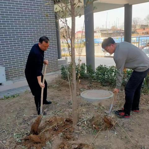 又是一年春好处 ，全民义务植树忙。宿州市广场舞协会参加市直机关植树节活动掠影