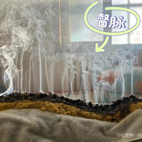 灸中之王-督脉灸