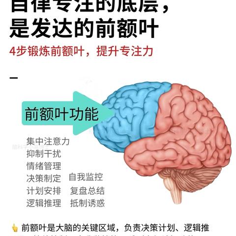 学习困难 | 你不是“学不会”，只是需要“不一样的方法”