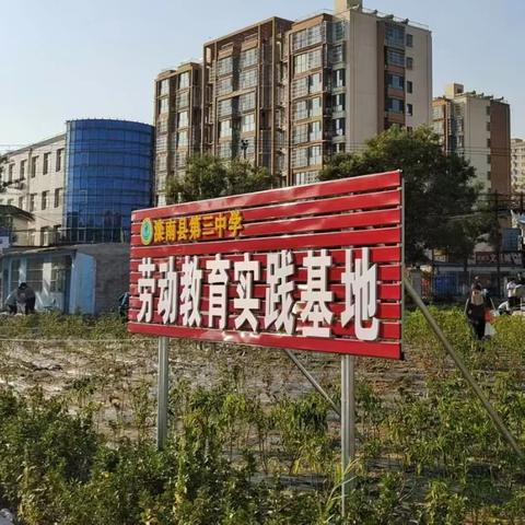 “青春实践，相约金秋” ——滦南三中七年级劳动实践活动