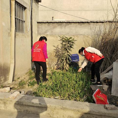 【新时代文明实践 铜山在行动】大彭镇大彭村开展禁毒铲毒巡查活动