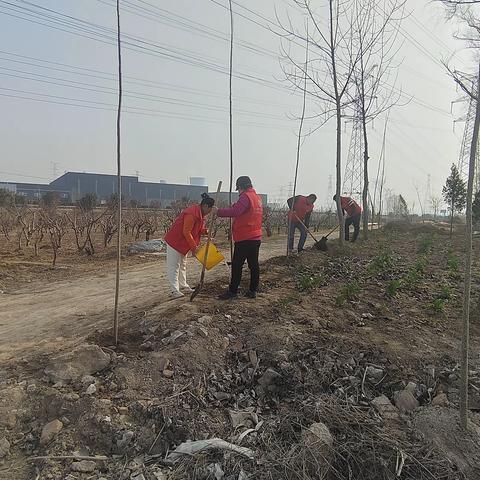【新时代文明实践 铜山在行动】大彭镇大彭村开展雷锋三月，植树伴我行活动