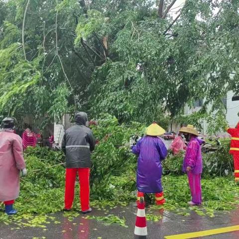应对台风“蝴蝶”｜椰林镇路长办积极清障保畅