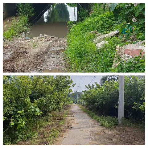 示范区发改局助力农村道路焕新颜‌