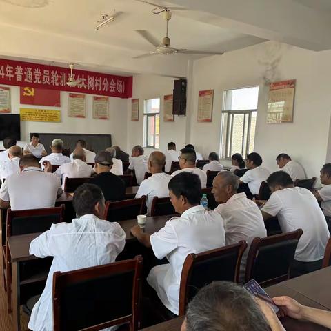 大树村开展七月份“学思践悟强党性 实干担当守初心”主题党日活动