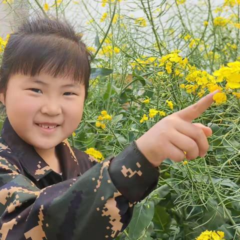 快乐的户外时光