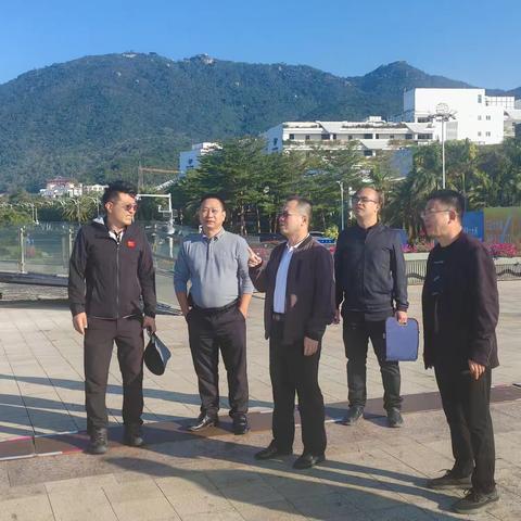 三亚市吉阳区应急管理局元旦假期安全生产检查
