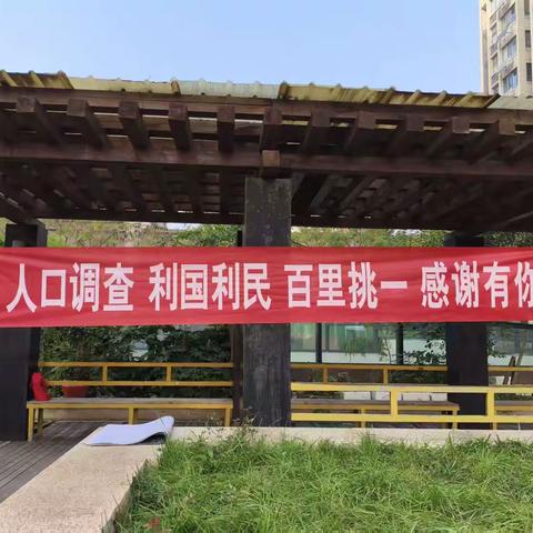 省、市、区统计局到第一社区，配合中央电视总台和省电视台开展2025年全国1%人口抽样调查专题拍摄工作