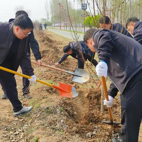 邱县开展老沙河绿化带集中植树活动 为生态建设再添新绿