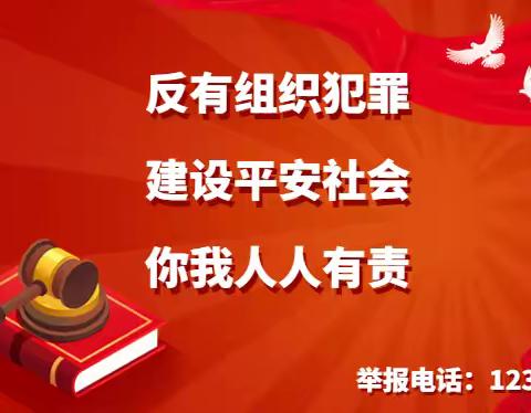 《中华人民共和国反有组织犯罪法》（全文）