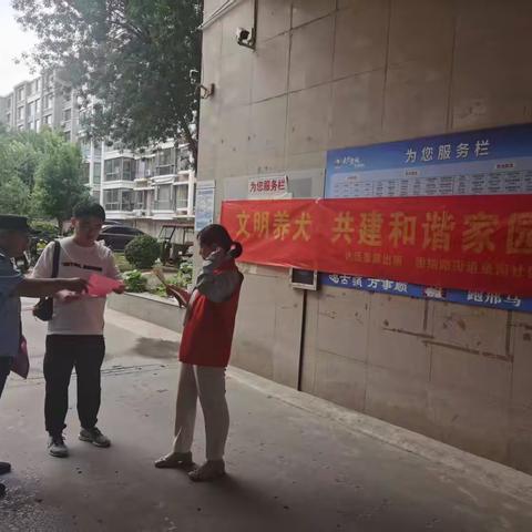 【泉南社区】开展文明养犬宣传活动