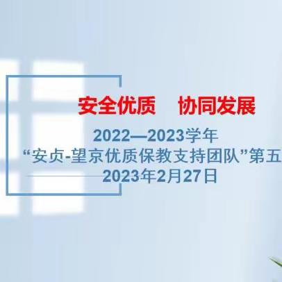 安全优质  协同发展——2022-2023学年“安贞-望京优质保教支持团队”第五次研讨