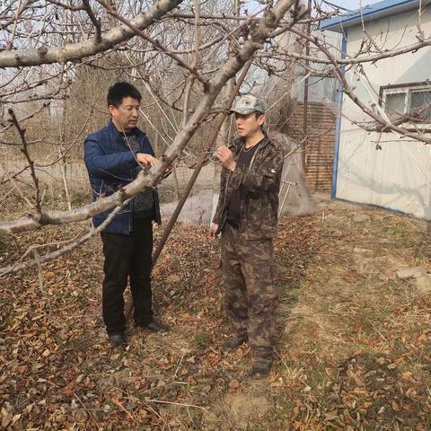 韩城市农业农村局2月27日工作动态