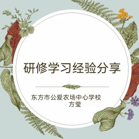 外出研修开眼界，经验分享促提升——东方市公爱农场中心学校方莹老师研修学习经验分享