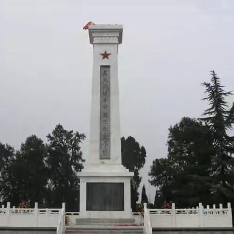 【东小·党建】党员领航承遗志 领巾飘扬祭英魂——大荔县东府小学开展清明祭英烈活动