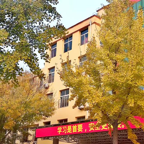 银杏叶舞 智慧花开——新华小学一场关于银杏的跨学科综合性学习活动