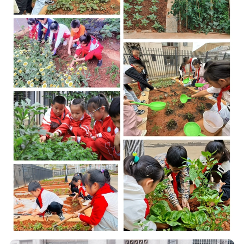 播种绿色希望 守护美丽家园——玉溪第一小学教育集团生态文明系列活动