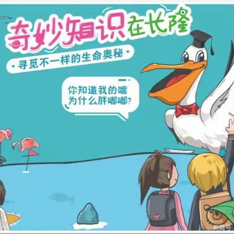 长隆飞鸟乐园亲子游