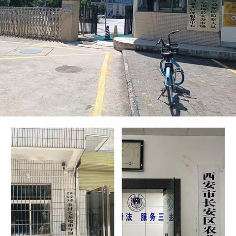 “万名学子进机关进企业进社区见习”活动---长安区人社局人才中心实地考察就业见习基地