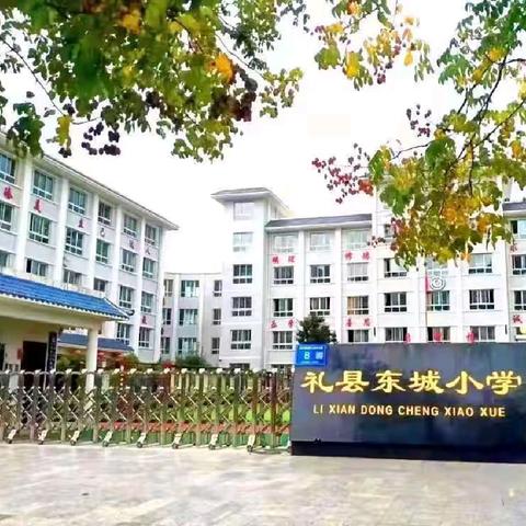 【教育教学故事】《分数王国的秘密》 礼县东城小学 马龙生