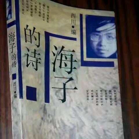 “面朝大海，春暖花开” 世俗之外的诗人～海子