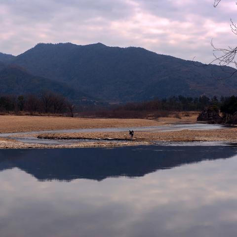 楠溪江上溯应公