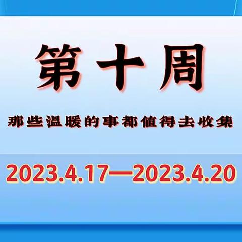 【“三抓三促”行动进行时】张家川县第四幼儿园园务周报