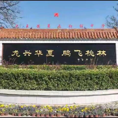 观评课堂 提质增效---大王五中理化生教研组全员赛课活动纪实