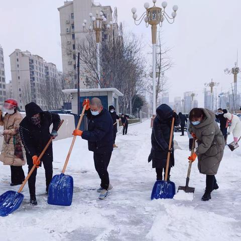 金乡县环卫服务中心全员上阵 迅速开展扫雪除冰行动