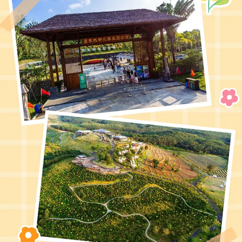 “盛夏之时，正当趣玩田园之季” 儋州农信诚邀您共赏云舍松涛田园美景