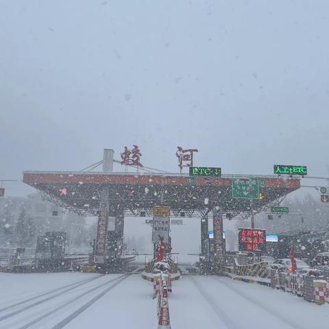 初雪 保畅