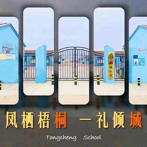 桐城小学首届“纸翼载梦 乘风万里”校园纸飞机比赛