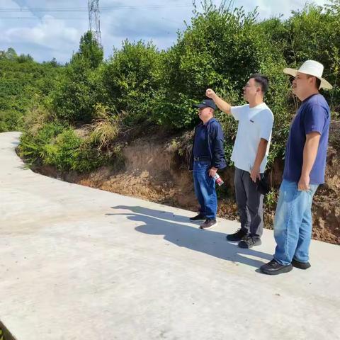 俞源乡建设林区道路助力油茶产业振兴