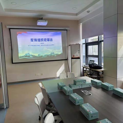 甸柳新村街道甸南社区开展：“筑牢社区防线，共御有组织犯罪之患”普法宣传活动