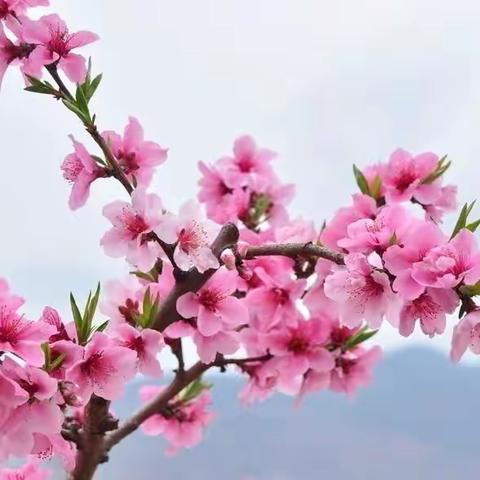 春季如歌、幼见美好    在水一方大地幼儿园