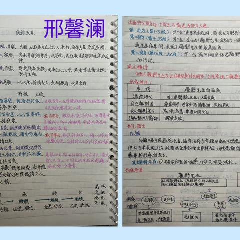 “提笔记学，札记于心”——农安一中8年9班最美笔记展示