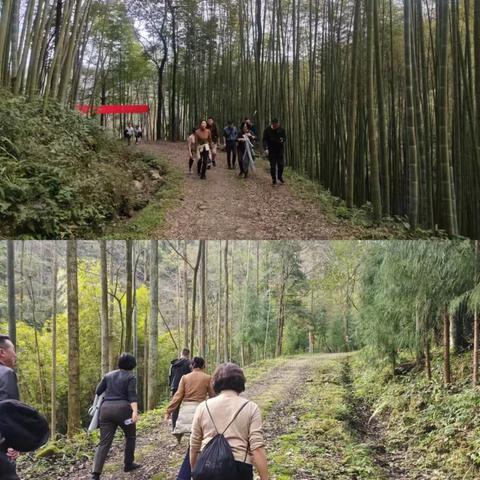 我与农发行共成长 ——农发行德阳市分行开展欢乐健步行活动