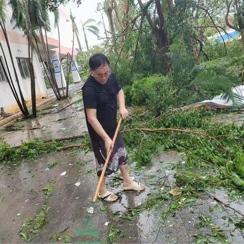 九三学社海口市龙华区基层委积极投入灾后恢复工作