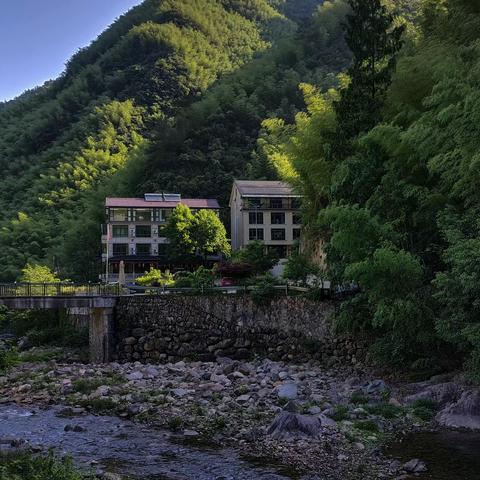 2023浙北大峡谷拍虫-蜉蝣