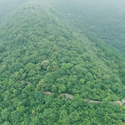 京源山