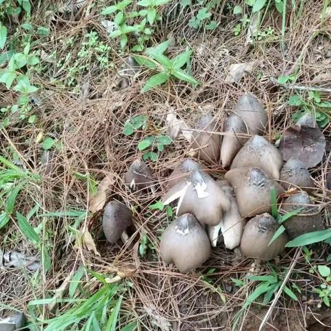 雨水里的大山