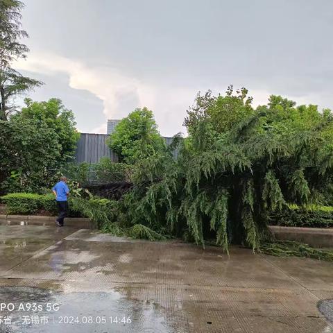 风雨过后