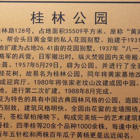 思駣的文章