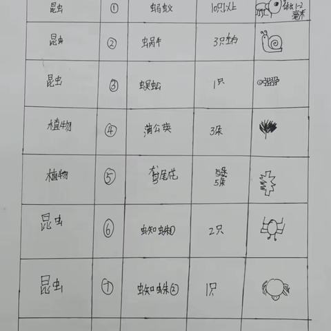 【三迪中学卧龙寺校区】  提高生物学科素养  调查周边环境中的生物