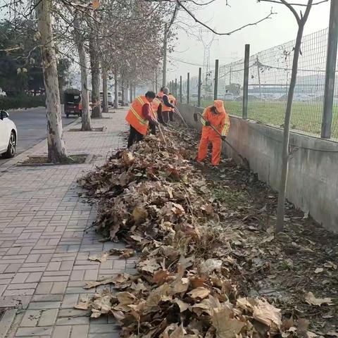 整治不“松劲” 全力提“品质”——建安区深入推进城区环城路沿线市容环境专项整治活动