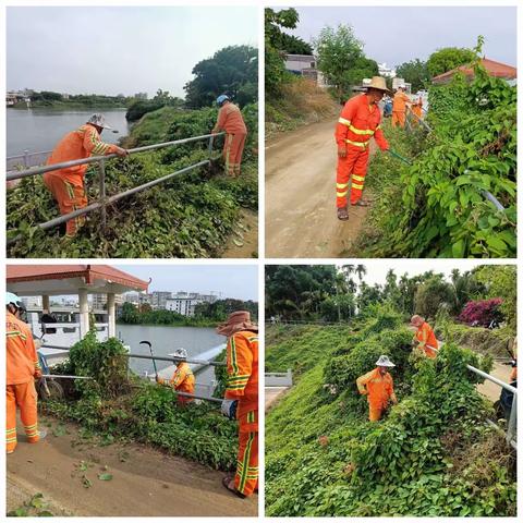 【福龙马崖州项目】崖州区5月20日水域片区环卫工作简报