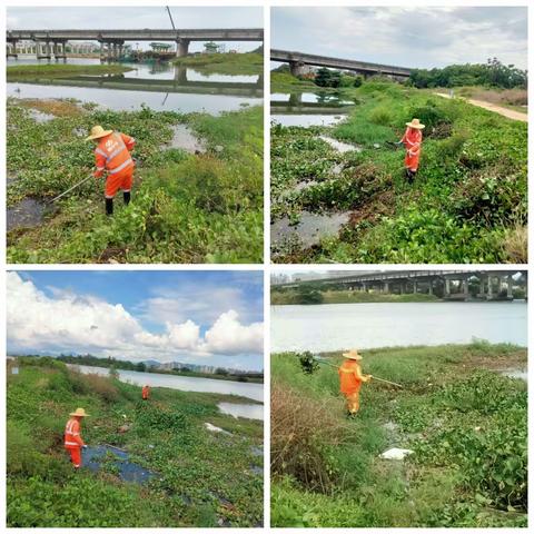 【福龙马崖州项目】崖州区5月23日水域片区环卫工作简报