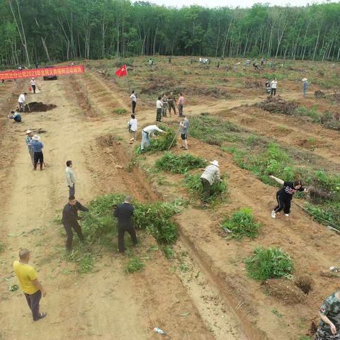 西达分公司开展义务植树活动