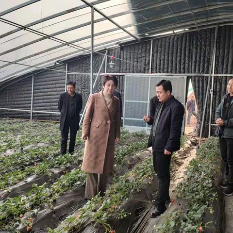 县长李维芳调研八渡镇当前重点工作