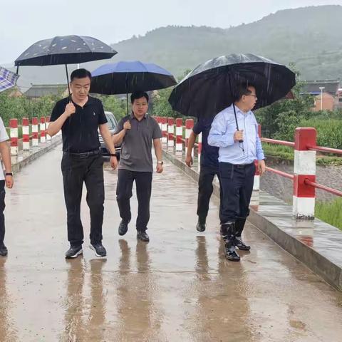 八渡镇：强化“两个作用”发挥，筑牢防汛安全堤坝